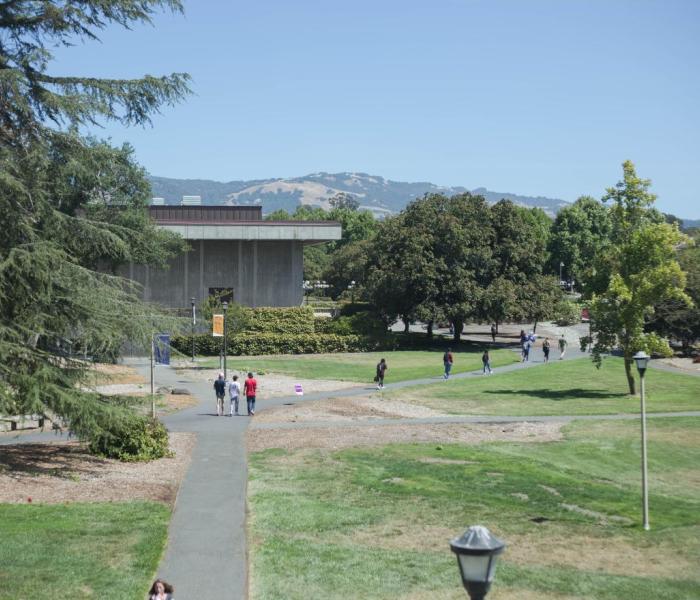 Grounds