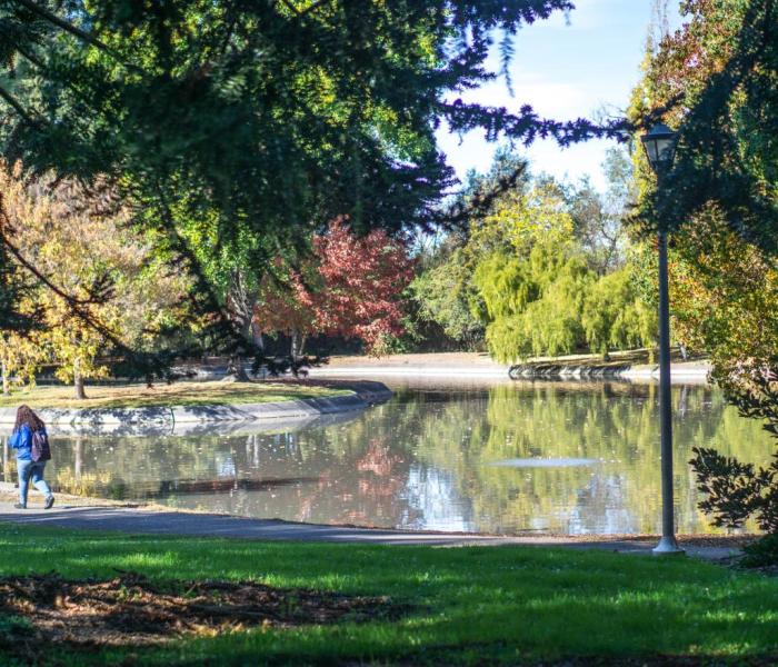 pond 2