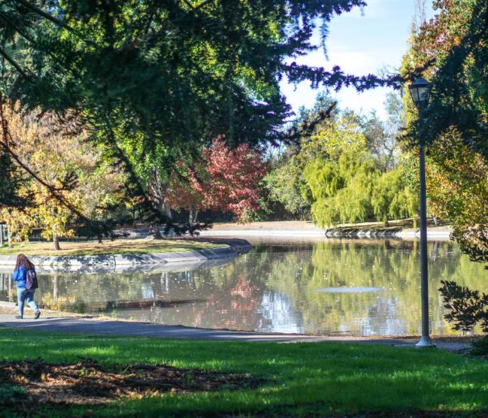 pond 3