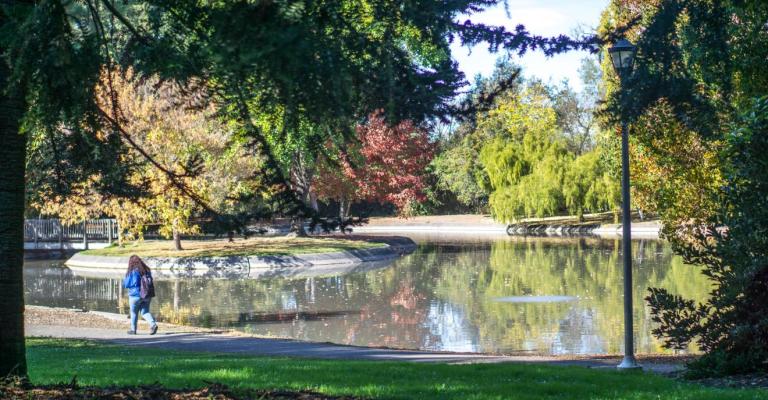 Pond