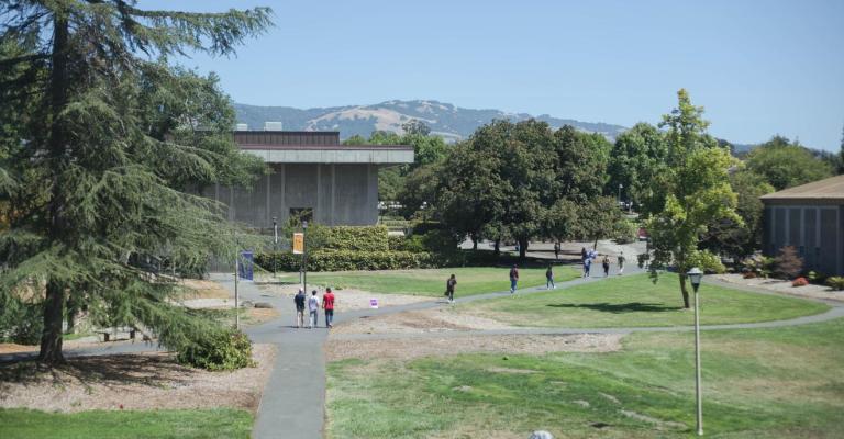 Grounds